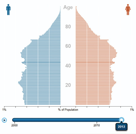 Figure 3: Demographics