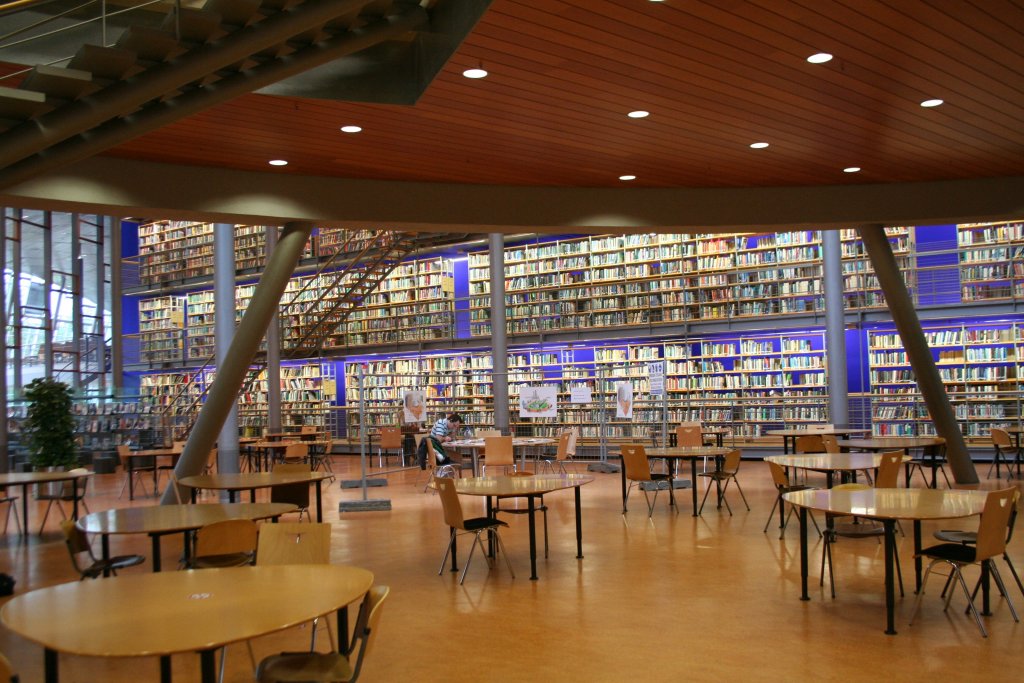 Delft Technical University Library Click for full-size image