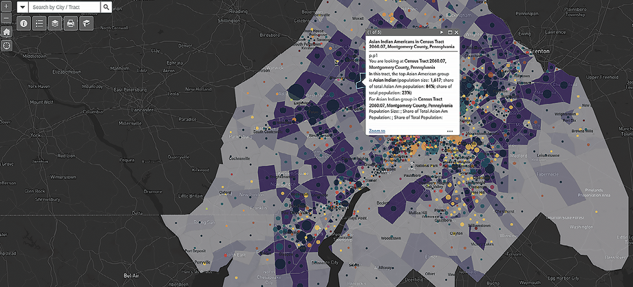 Maps based on census data show Asian Americans and Pacific Islander Americans color-coded by census tract.