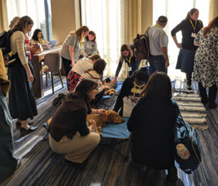 Conference-goers happily crowd around four sweet therapy dogs.