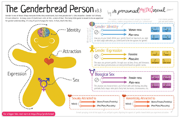 The Genderbread Person