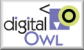 Digital Owl