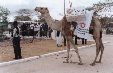 Kenya's Camel-Mobile