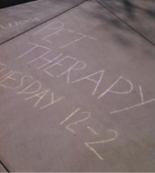 Sidewalk chalk outside Andersen Library announces the therapy dogs’ impending arrival.